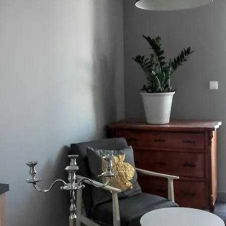 Apartament Na Wzgorzu 招待所 威利兹卡