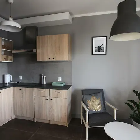 Apartament Na Wzgorzu 招待所